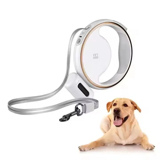 Laisse Rétractable Chien avec Lumière LED – Nylon Antichoc & Mains Libres
