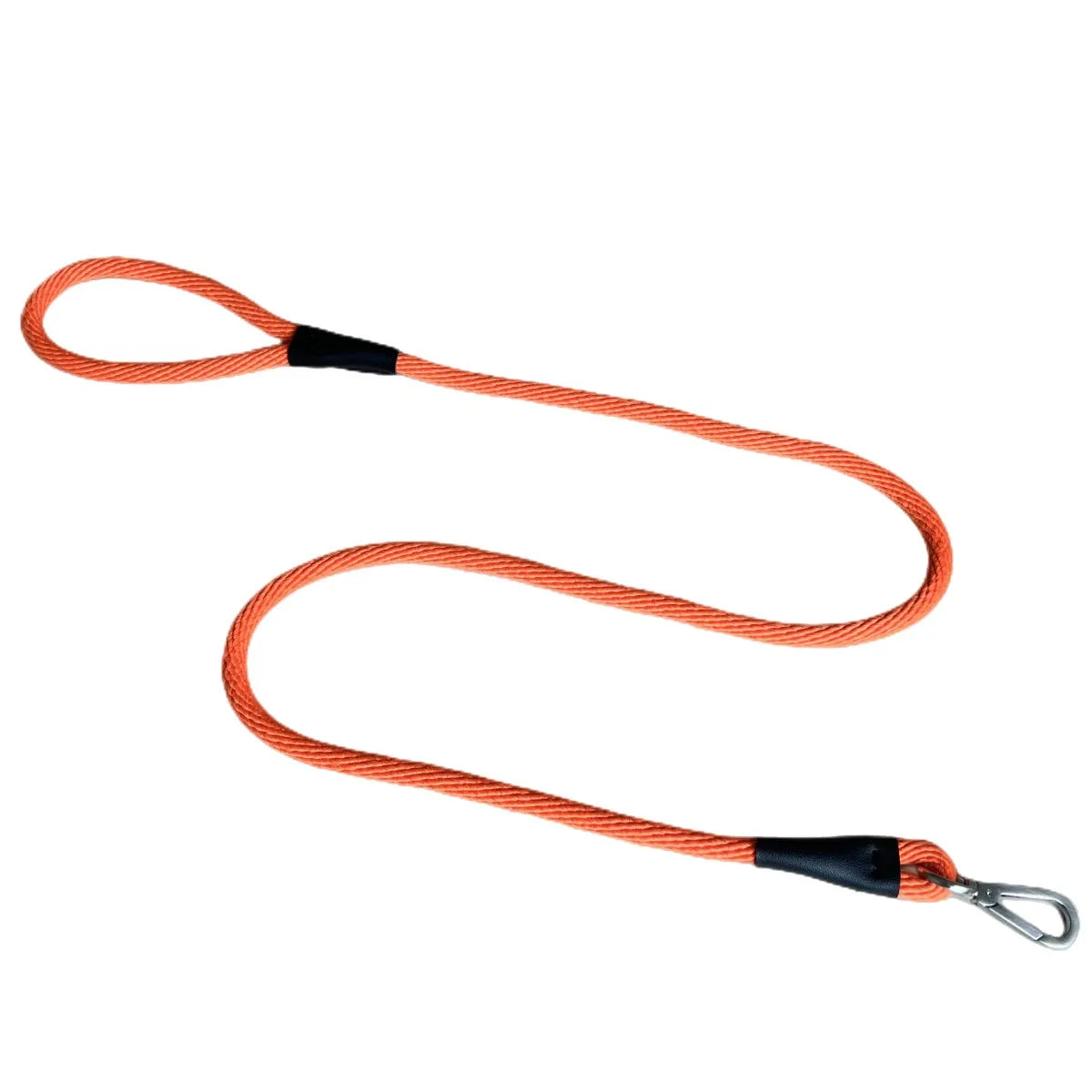 Laisse Chien Résistante – Polyester & Cuir | Personnalisable