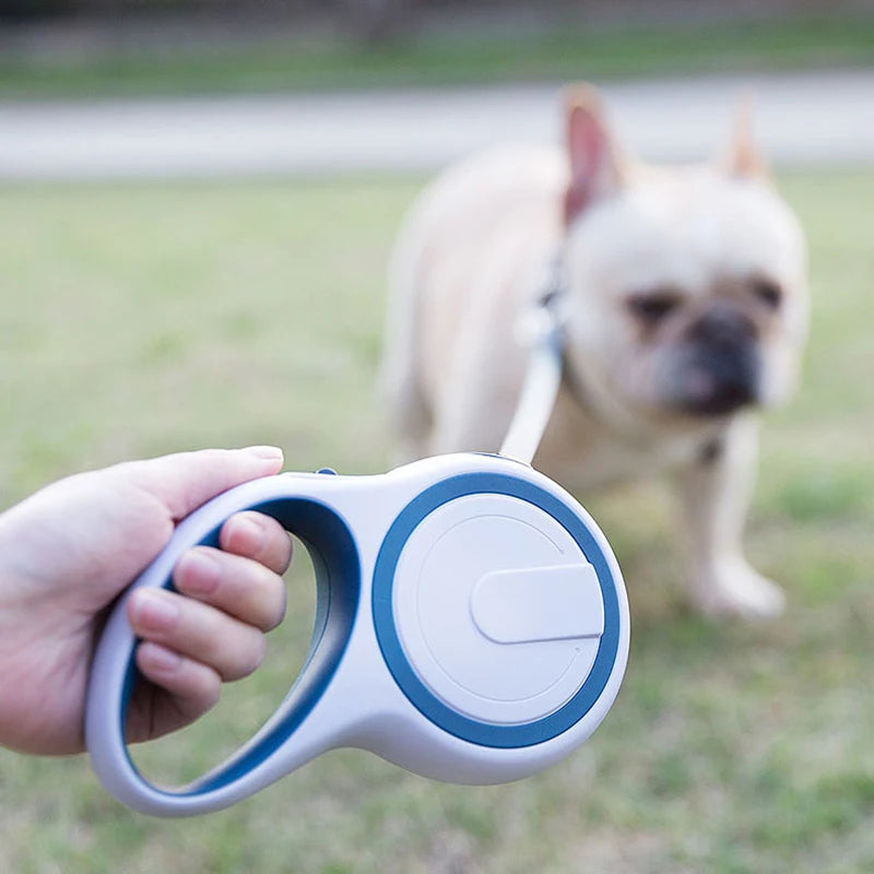 Laisse Rétractable Chien – Nylon Réfléchissant & Poignée Rembourrée
