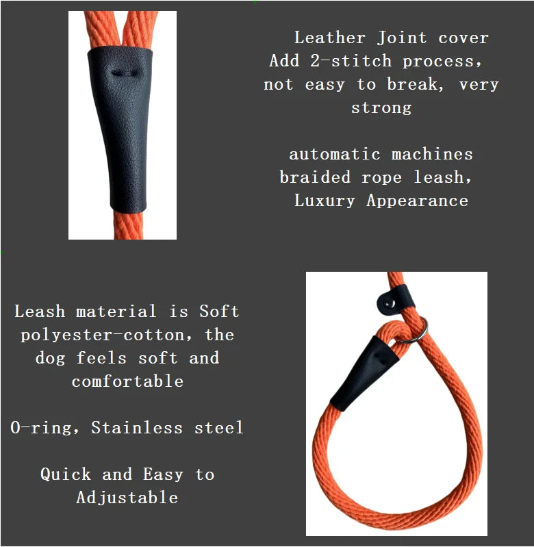 Laisse Chien Résistante – Polyester & Cuir | Personnalisable