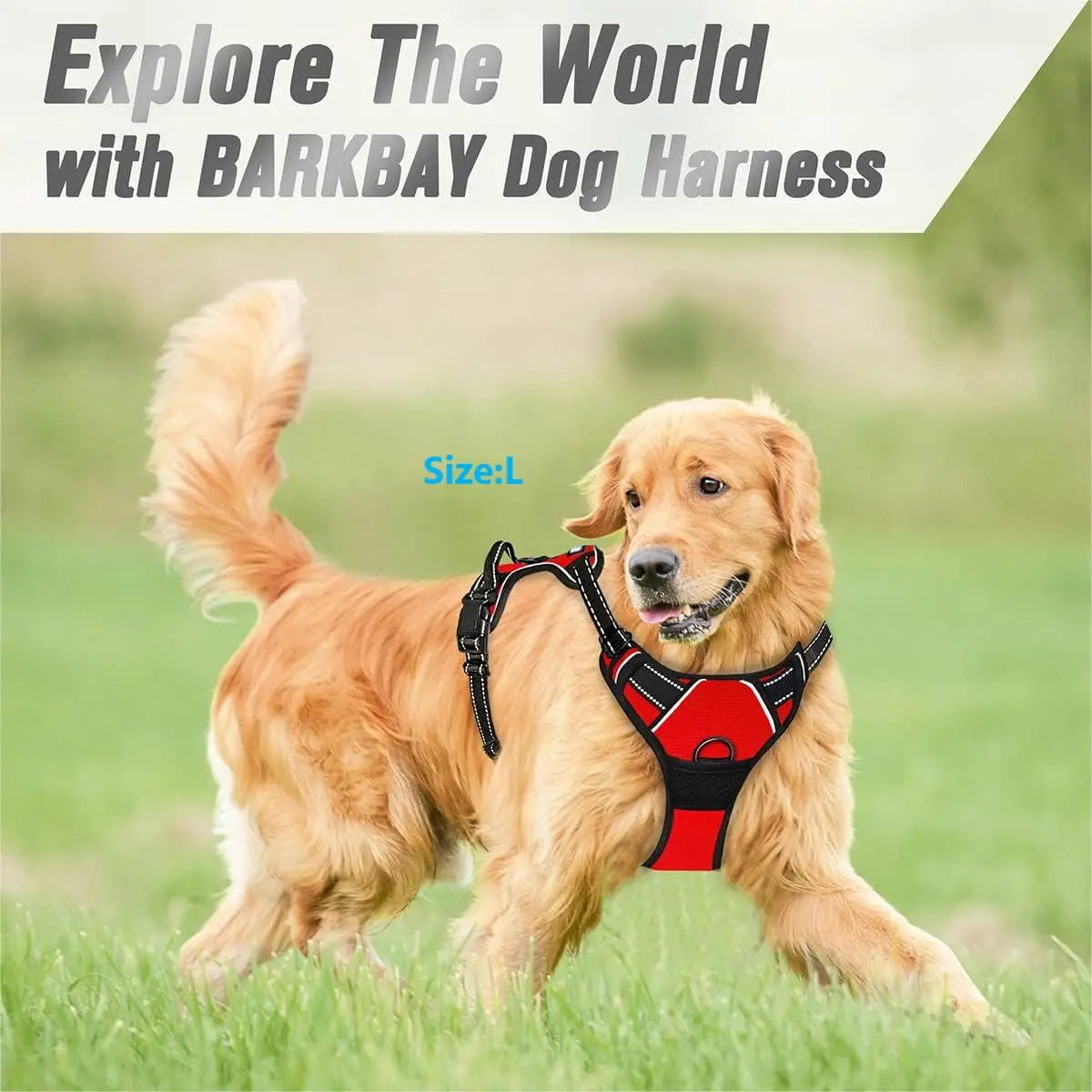 Harnais Chien Anti-Traction avec Attache Frontale – Réfléchissant & Ajustable