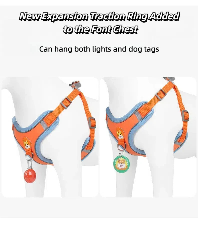 Harnais Chien Anti-Traction avec Laisse Intégrée Réfléchissante – Tailles S à XL