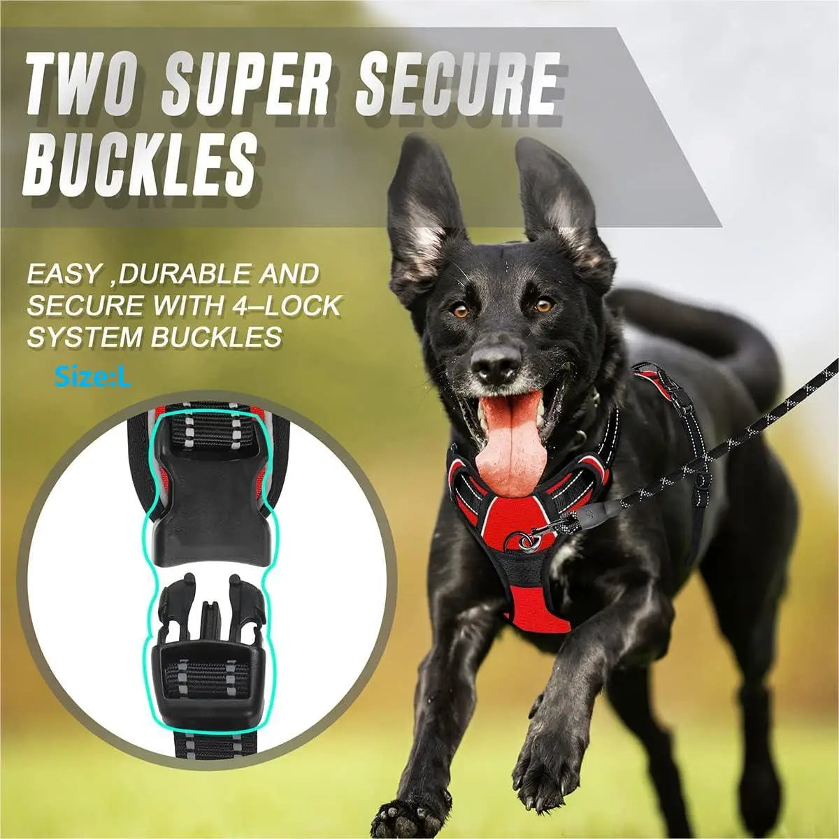 Harnais Chien Anti-Traction avec Attache Frontale – Réfléchissant & Ajustable