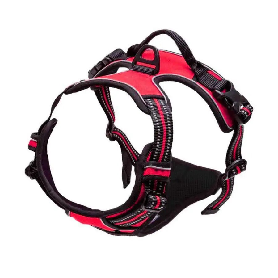 Harnais Chien Anti-Traction avec Attache Frontale – Réfléchissant & Ajustable
