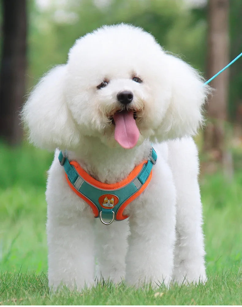 Harnais Chien Anti-Traction avec Laisse Intégrée Réfléchissante – Tailles S à XL