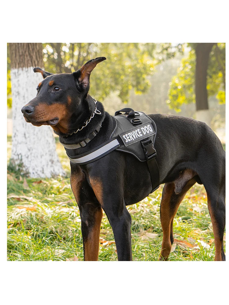 Harnais Chien Sans Traction avec Poignée Dorsale – Gilet Réfléchissant Ajustable