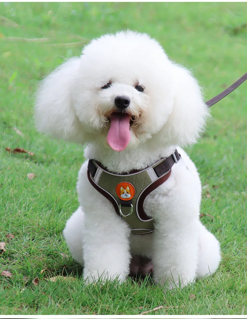 Harnais Chien Anti-Traction avec Laisse Intégrée Réfléchissante – Tailles S à XL