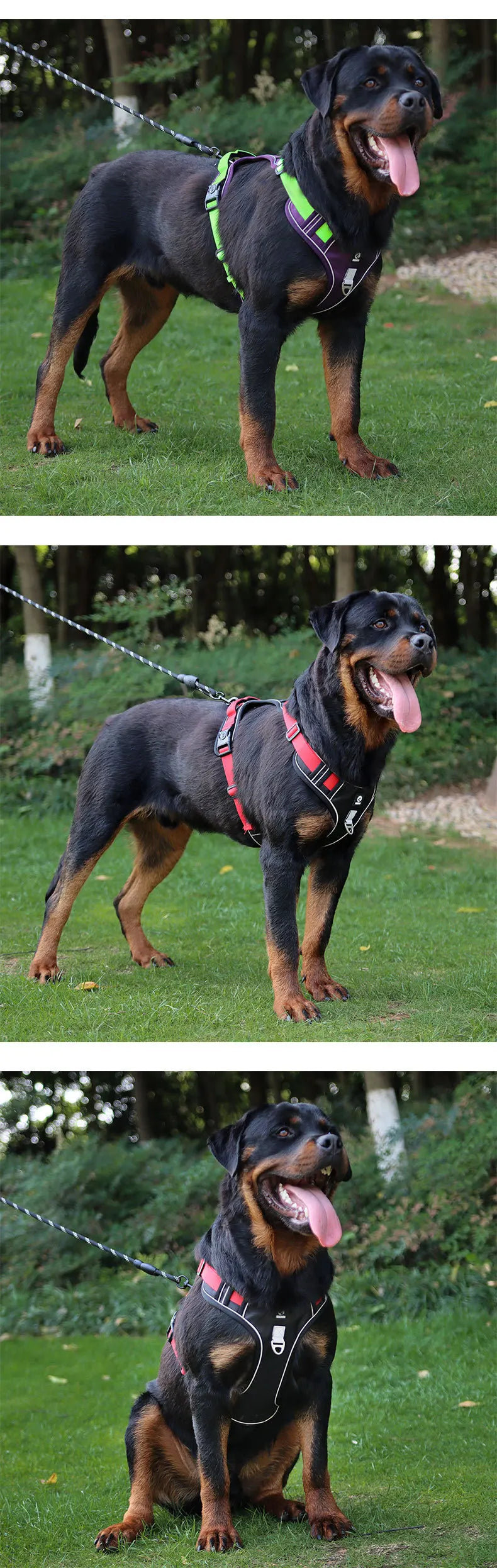 Harnais Chien Sans Traction Nylon Réfléchissant – Gilet Ajustable Toutes Tailles