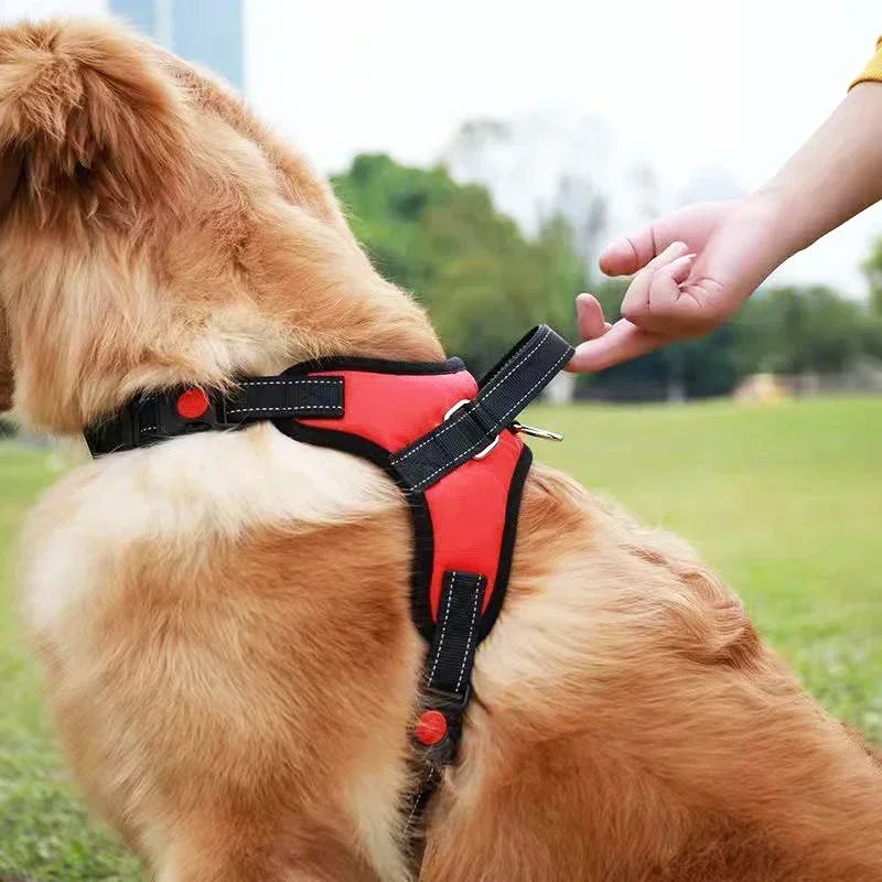 Harnais chien réfléchissant anti-traction en polyester – Ajustable XS à L