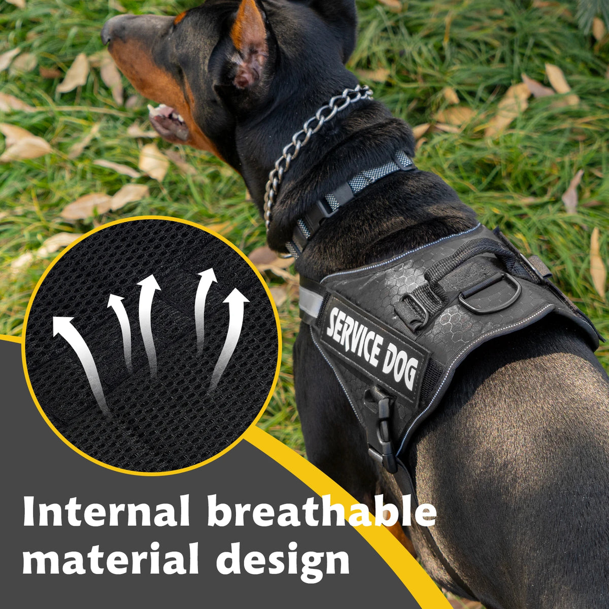 Harnais Chien Sans Traction avec Poignée Dorsale – Gilet Réfléchissant Ajustable
