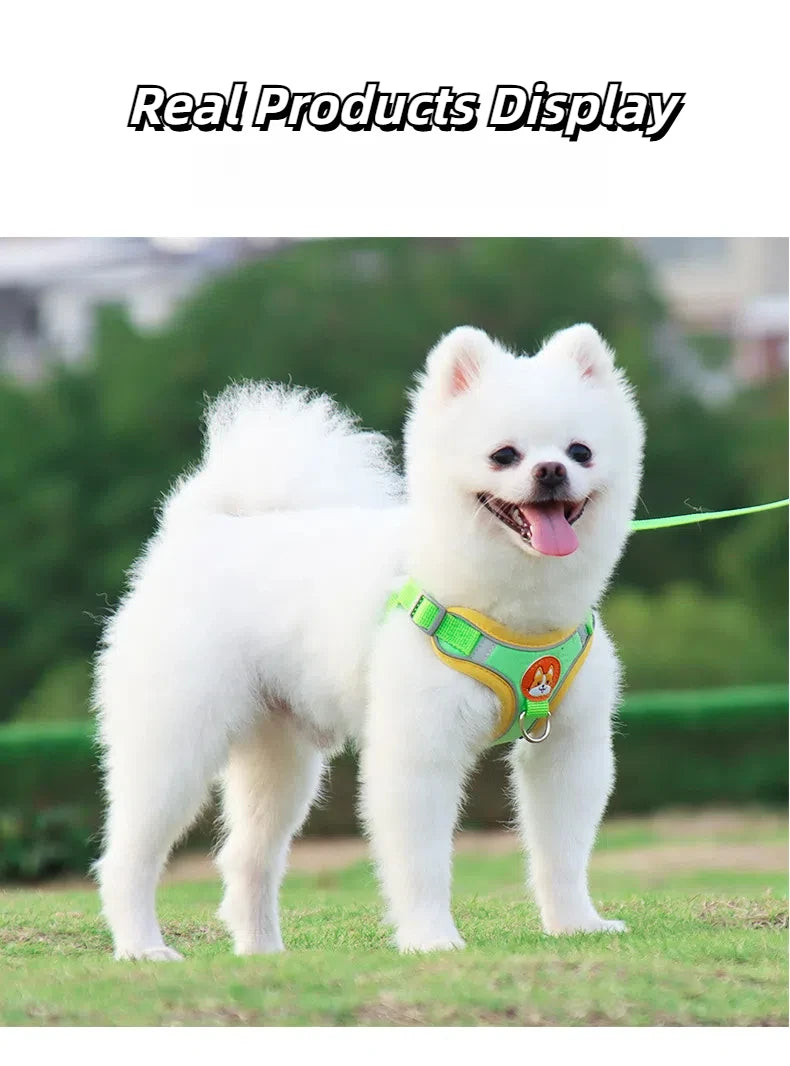 Harnais Chien Anti-Traction avec Laisse Intégrée Réfléchissante – Tailles S à XL