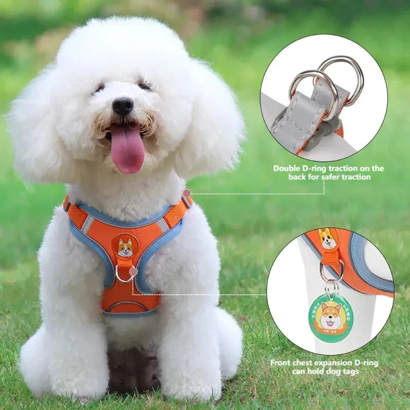 Harnais Chien Anti-Traction avec Laisse Intégrée Réfléchissante – Tailles S à XL