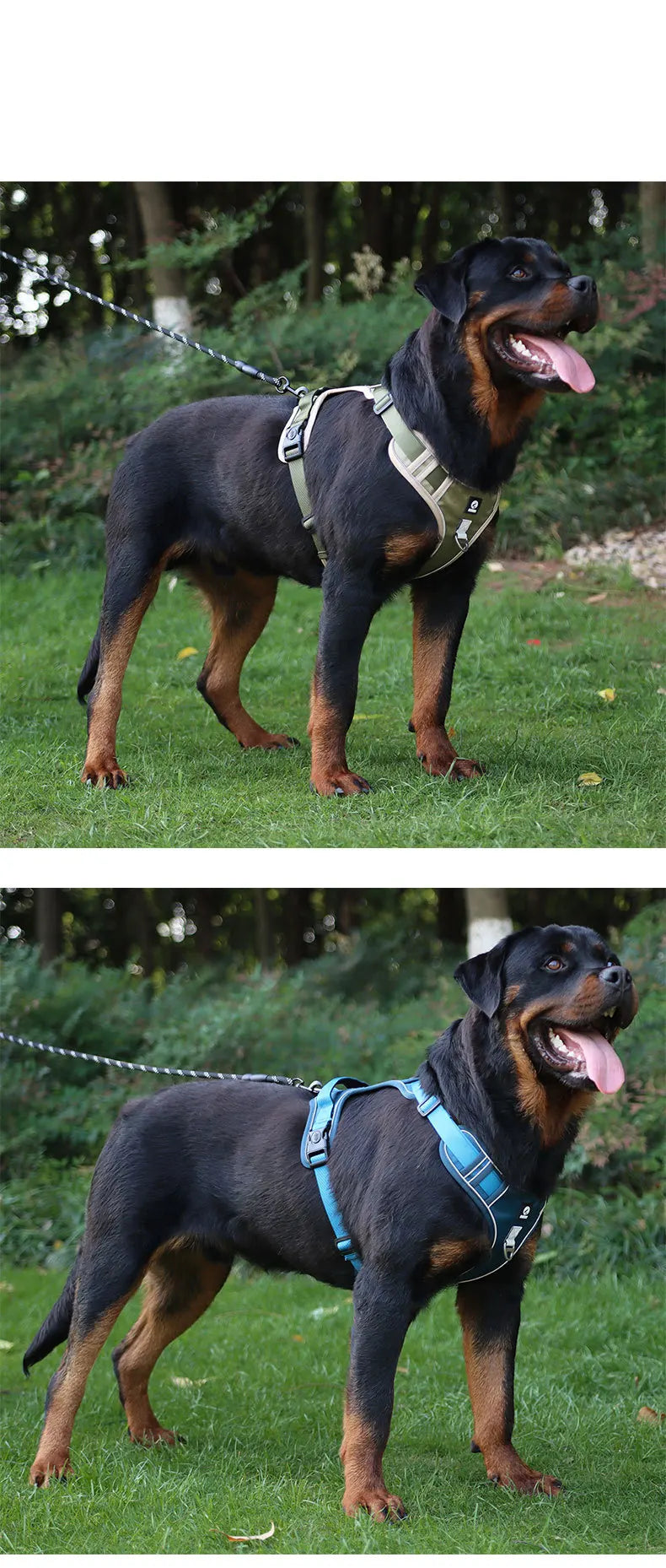 Harnais Chien Sans Traction Nylon Réfléchissant – Gilet Ajustable Toutes Tailles