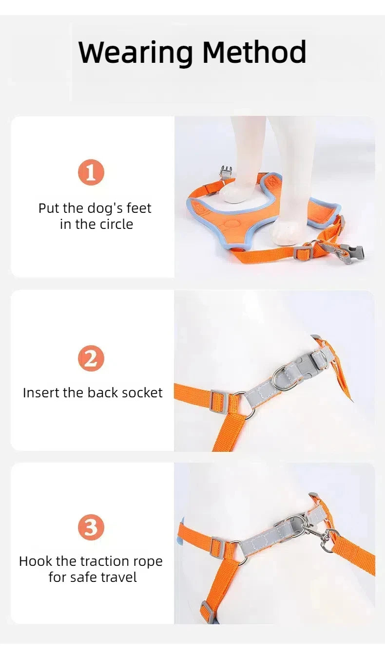 Harnais Chien Anti-Traction avec Laisse Intégrée Réfléchissante – Tailles S à XL