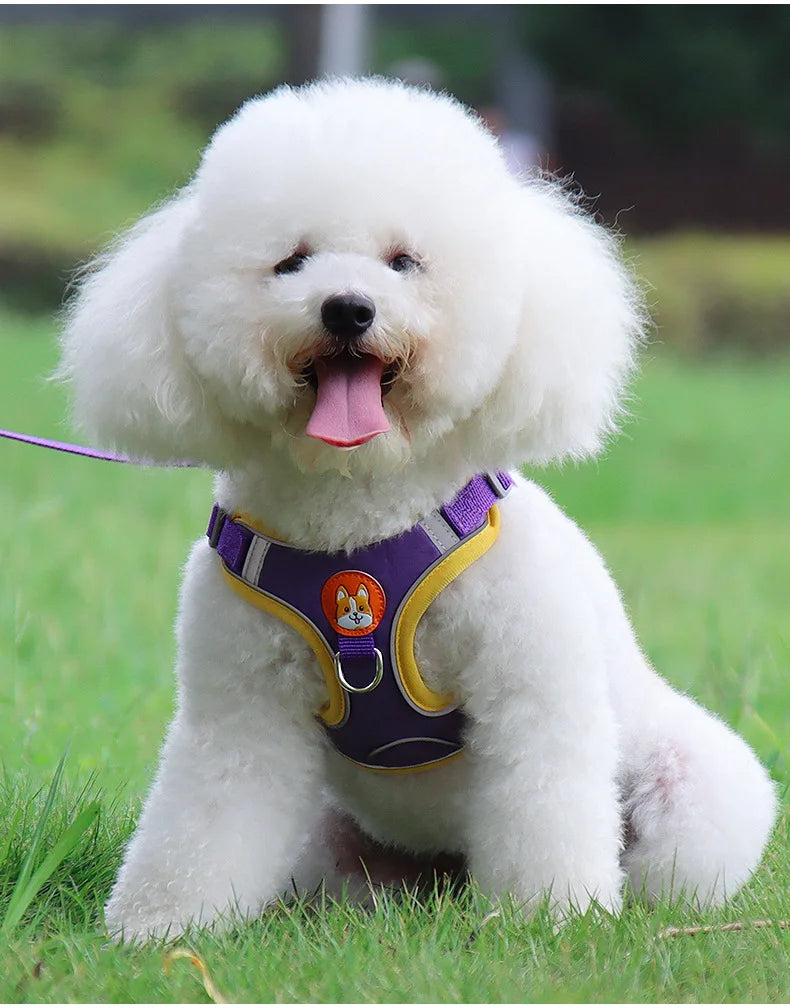 Harnais Chien Anti-Traction avec Laisse Intégrée Réfléchissante – Tailles S à XL