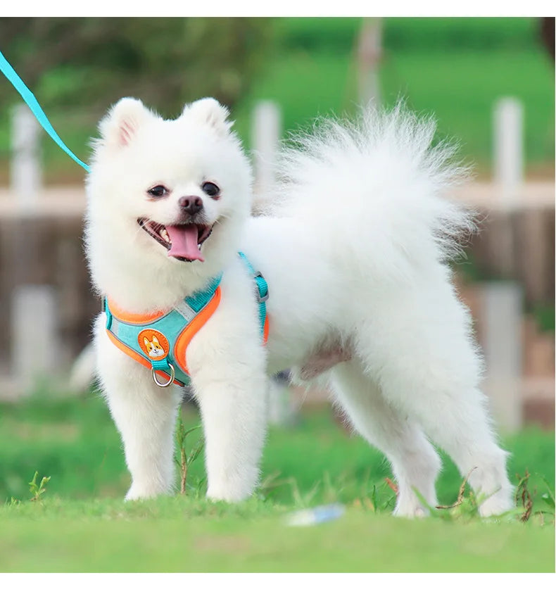 Harnais Chien Anti-Traction avec Laisse Intégrée Réfléchissante – Tailles S à XL