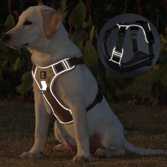 Harnais Chien Sans Traction Nylon Réfléchissant – Gilet Ajustable Toutes Tailles