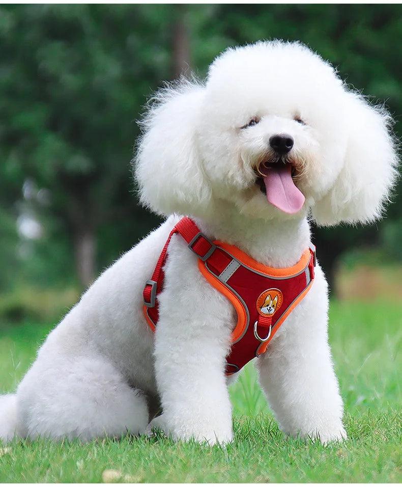 Harnais Chien Anti-Traction avec Laisse Intégrée Réfléchissante – Tailles S à XL