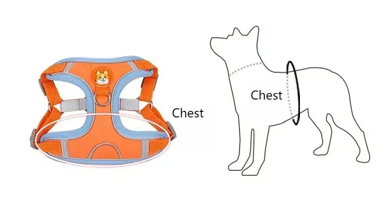 Harnais Chien Anti-Traction avec Laisse Intégrée Réfléchissante – Tailles S à XL