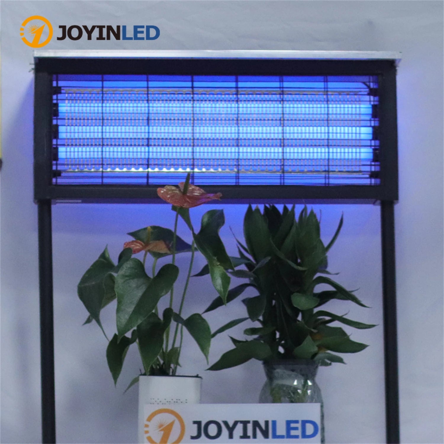 Lampe Anti-Moustiques Solaire JOYINLED - Piège Électrique UV Étanche Grande Puissance pour Jardin et Camping