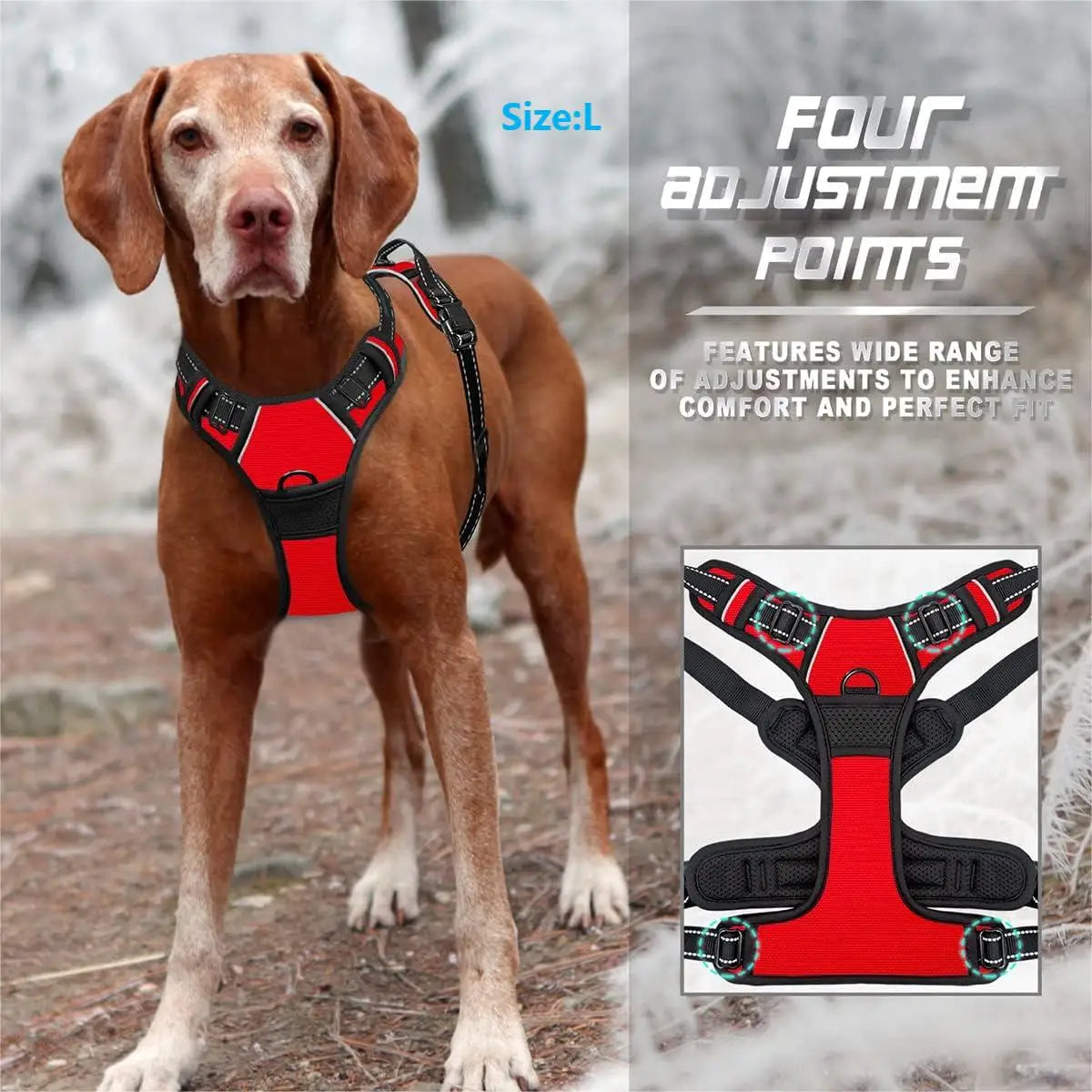 Harnais Chien Anti-Traction avec Attache Frontale – Réfléchissant & Ajustable